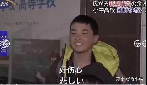 曰日本视频在线观看,揭秘曰日本视频平台  第2张